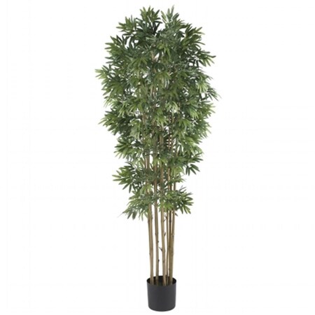 Dare2Decor 6 in. Bamboo Japanica Silk Tree DA416996